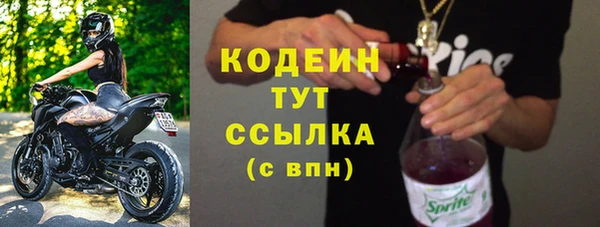 прущие грибы Елизово