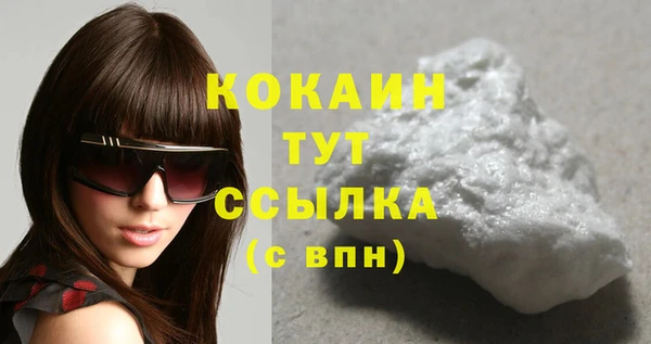 прущие грибы Елизово