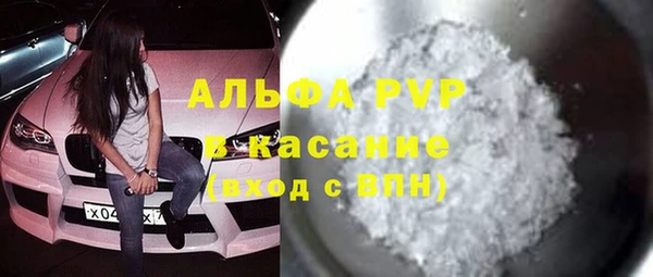 прущие грибы Елизово