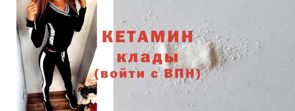 прущие грибы Елизово