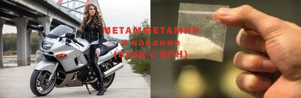 прущие грибы Елизово