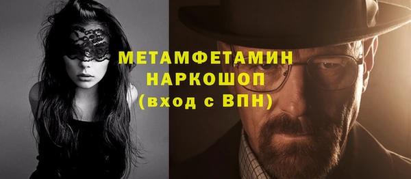 прущие грибы Елизово