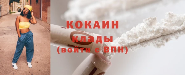прущие грибы Елизово