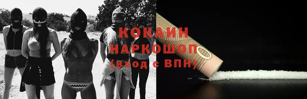 прущие грибы Елизово