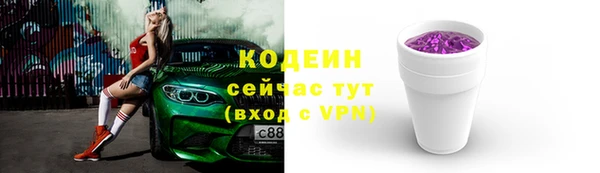 прущие грибы Елизово