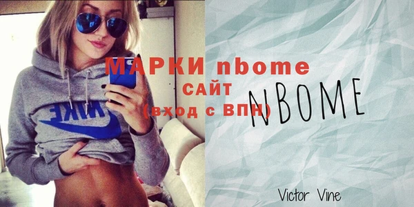 прущие грибы Елизово