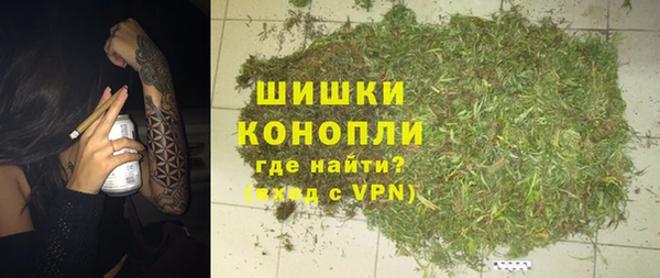 первитин Ельня