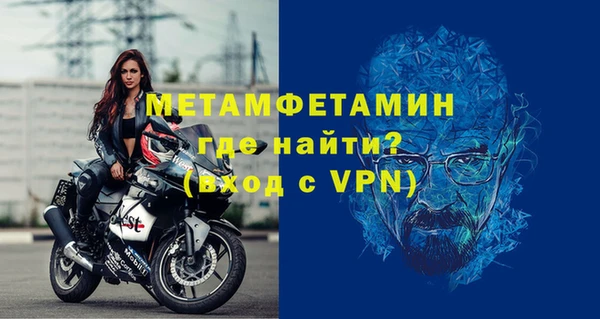 прущие грибы Елизово