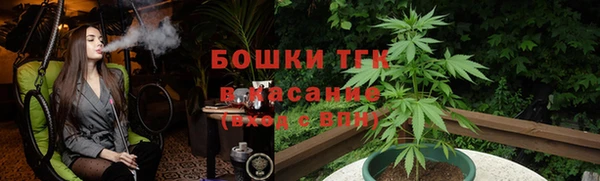 прущие грибы Елизово